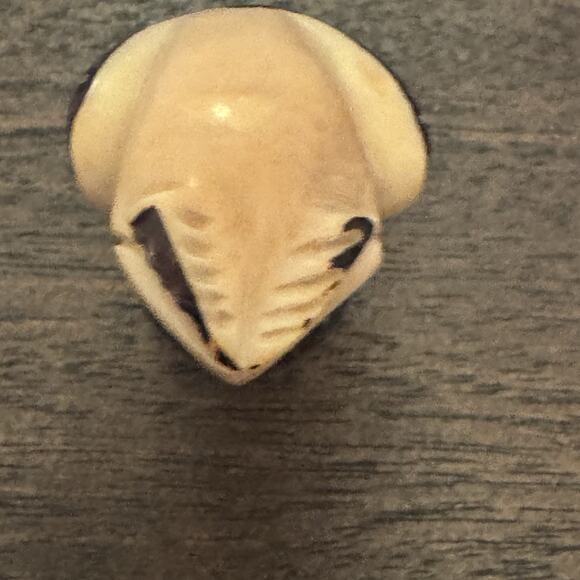 Owl Hand Carved Tagua Nut Vegetable Ivory Figurine Wise Owl Totem Birds Wisdom - Picture 9 of 16